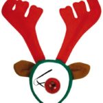 Rendierband met naam (lampjes)